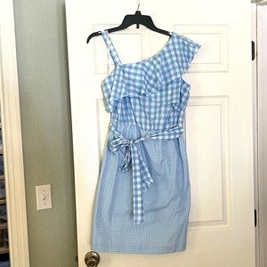 Calvin Klein Blue Gingham Dress / Size 6
